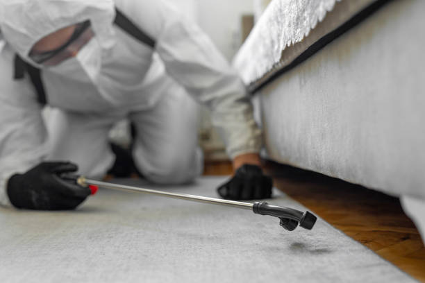 Professional Termite Control technician working in Meade, KS