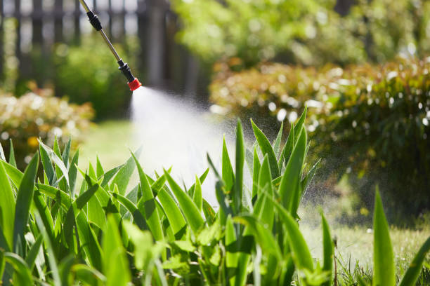 24/7 Emergency Termite Control experts in Meade, KS