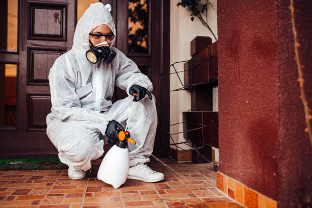 Reliable Termite Control contractor in Meade, KS by Nex Pest Control