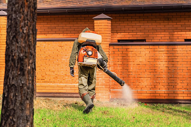 Top rated local Termite Control specialists in Meade, KS